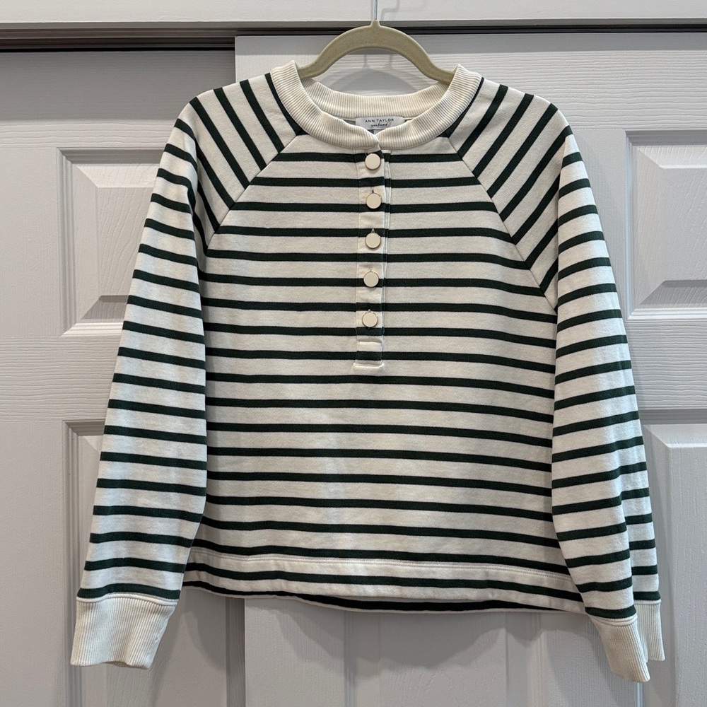 Ann Taylor Weekend Cream and Green Sweater